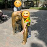 Bild 09
