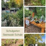 Schulgarten